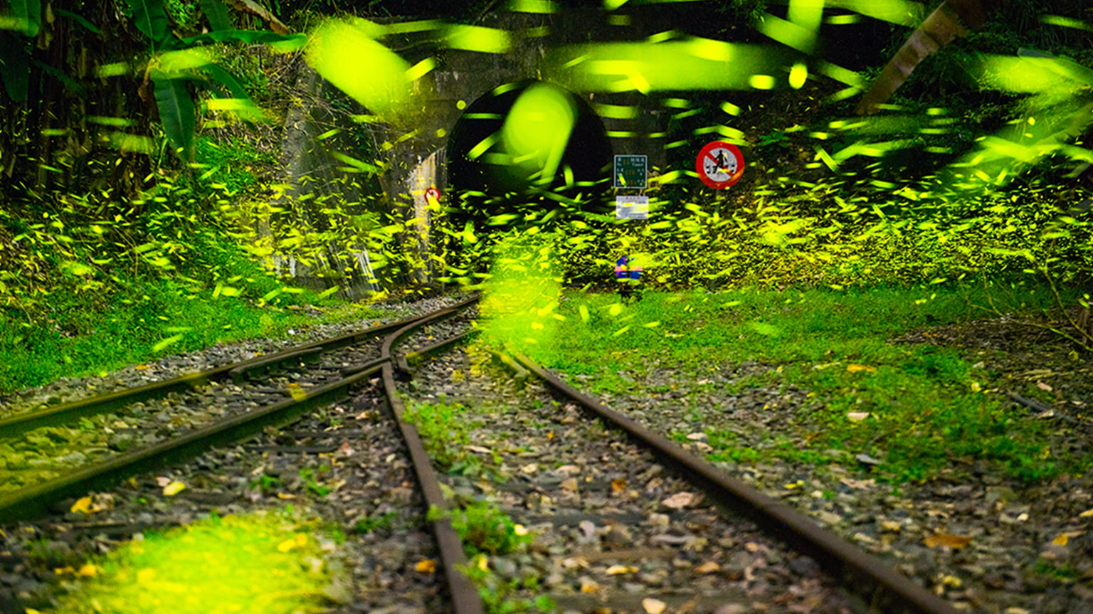 景點設施-銅牌-楊仁教-森林鐵道山洞外滿天飛舞綠精