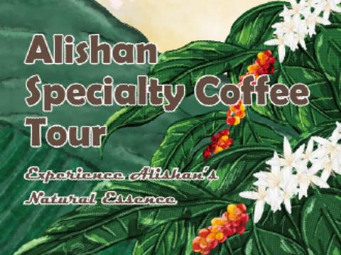 Alishan specialty coffee tour