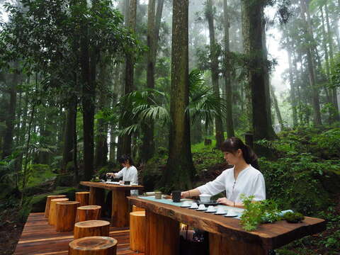 兩名身穿白色禮服的女子在森林裡泡茶