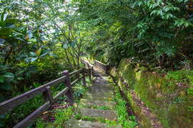 Zhukeng Stream Trail