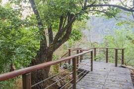 Tefuye Trail(Giant Camphor Trees)
