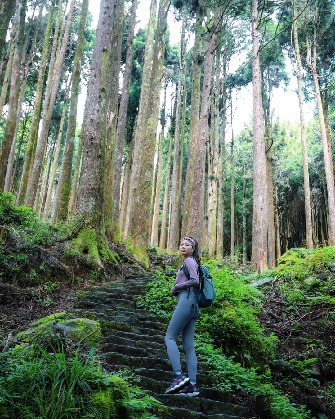 水山步道 ( 全長1600m )是除了特富野古道，另一條能走在鐵軌上的森林步道沿途有月台、仿古鐵路橋，漫步前往找尋千年的水山巨木，...