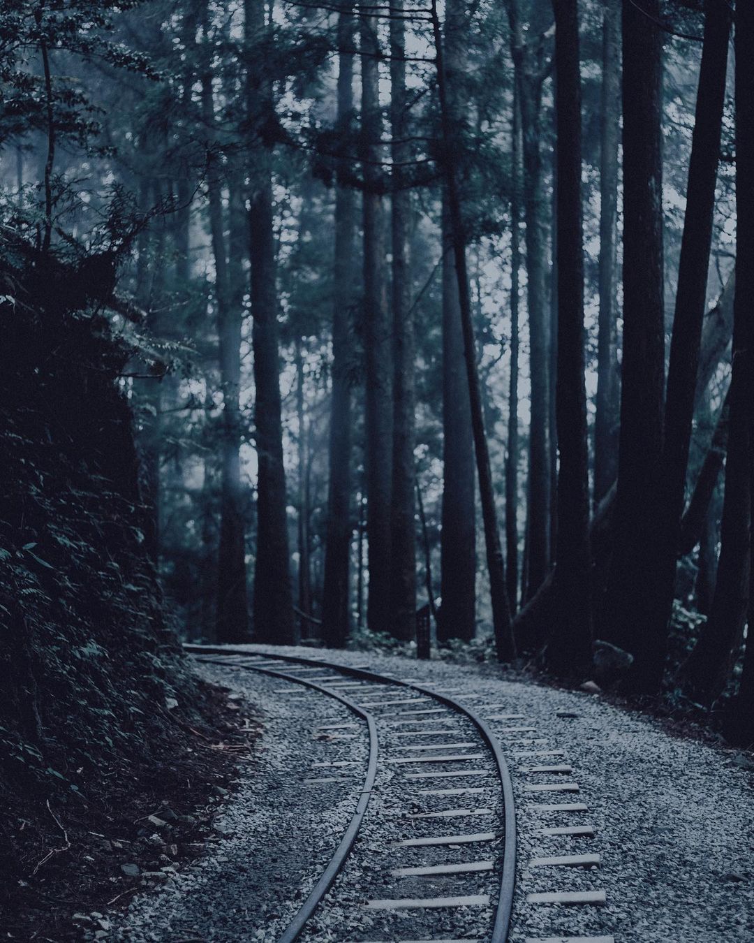 廢棄的鐵軌，曾經是運送珍貴木材的路徑，也是與"鄒"緊緊相連的獵徑，不只是拍照的森林秘境，生態、過往、故事都是蘊藏在古道裡的魅力。照...