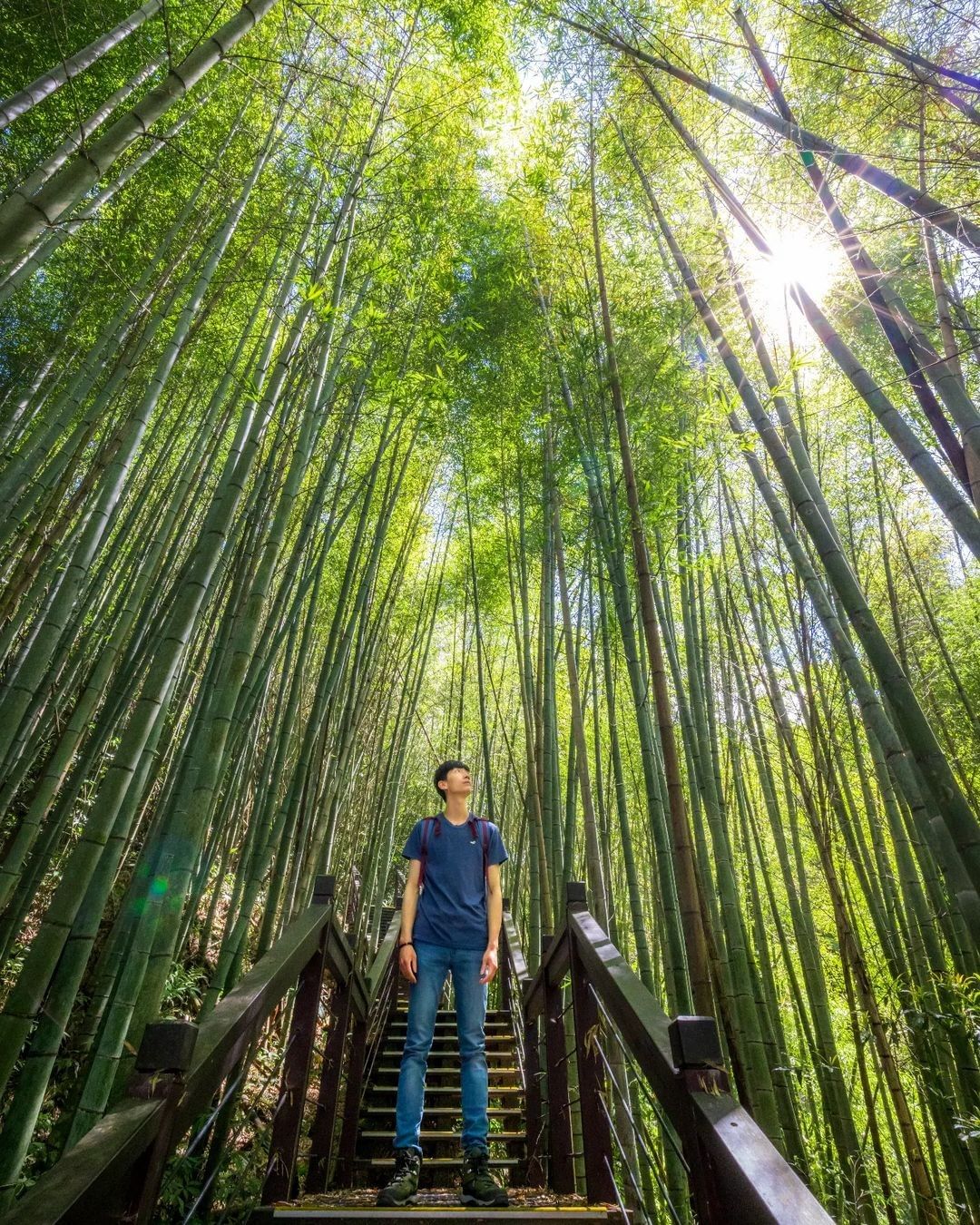 小編在粉專上分享4張竹林照片讓大家猜猜分別是哪些步道不太容易呀照片授權感謝 @yuchang_0217 -⠀歡迎在您的貼文 #tr...