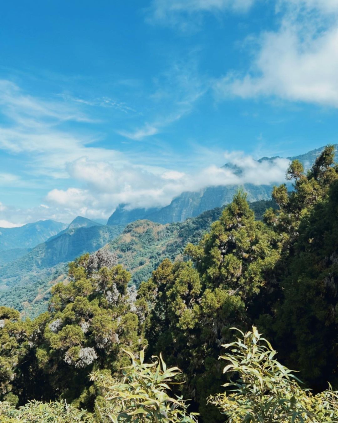 站在十字路車站的觀景台眺望大塔山，欣賞今天的藍天白雲襯著壯闊山景（或許是小編功力不足，呈現不出親眼所見的呀～）-#travelal...