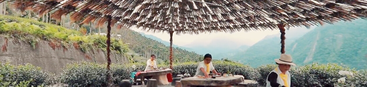 阿里山で四季の茶旅