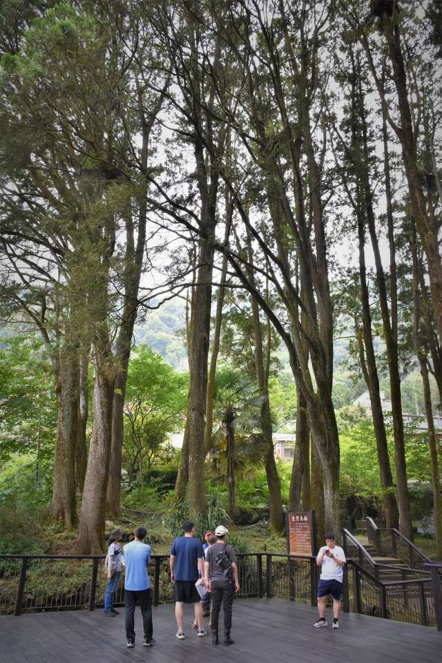 山叔叔的魔法衣