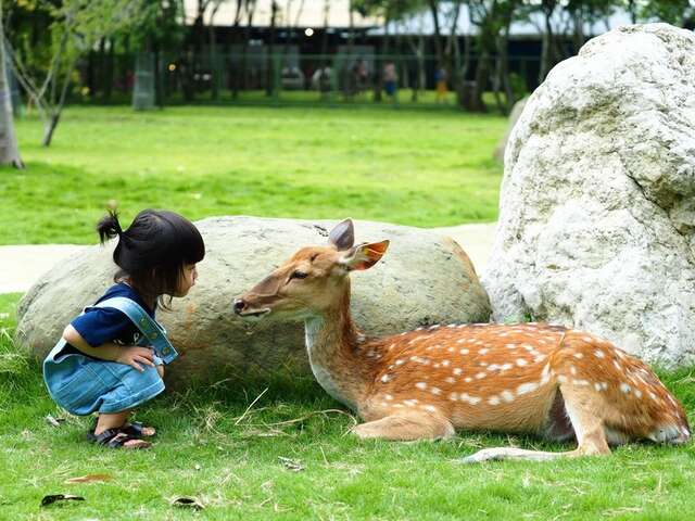逐鹿傳說梅花鹿園