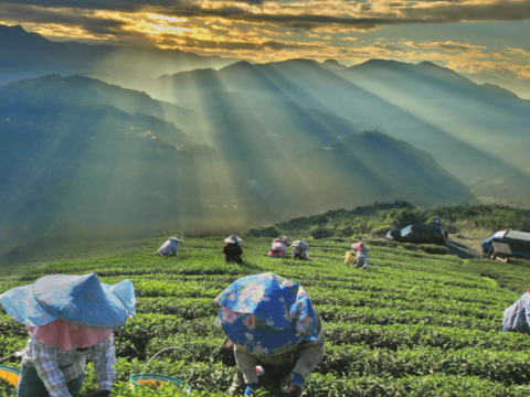 「鄒」の狩人になる 新美茶山の旅 一泊二日