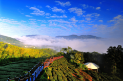 Scenic viewing at Taixing Trail