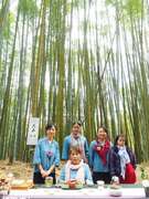 阿里山四季茶の旅　冬の竹林茶会