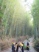 阿里山四季茶の旅　冬の竹林茶会