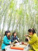 Four Seasons of Alishan Tea Tourism – A Winter Tea Party in the Bamboo Forest