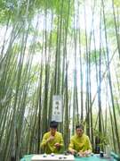 阿里山四季茶の旅　冬の竹林茶会