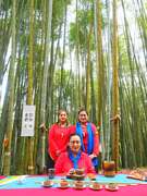 阿里山四季茶の旅　冬の竹林茶会