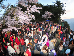 102-3-攝影比賽-入選 蔡致模  祝山櫻花旁觀日出人潮