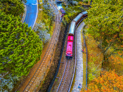 景點設施-入選-陳紫晴_阿里山森林火車