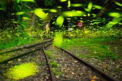 景點設施-銅牌-楊仁教-森林鐵道山洞外滿天飛舞綠精靈