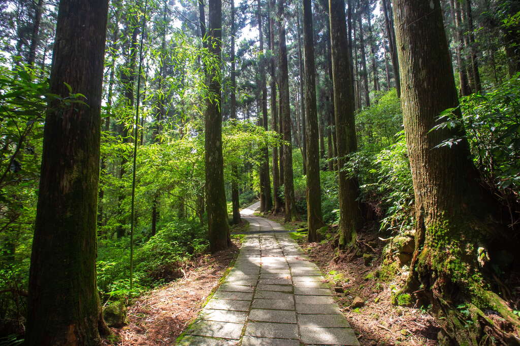 頂湖環湖步道