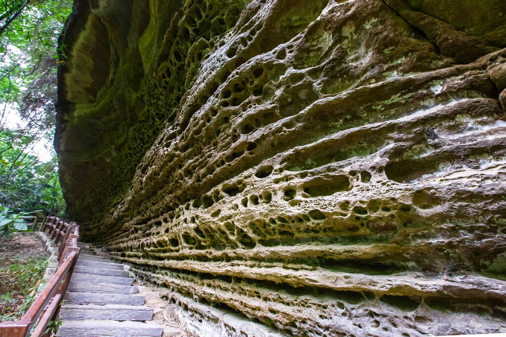 千年蝙蝠洞奇特樣貌吸引旅人駐足