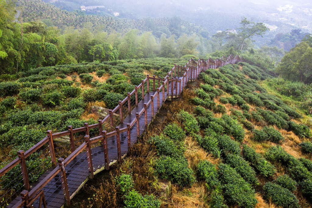 攀上階梯走往太興岩步道美景