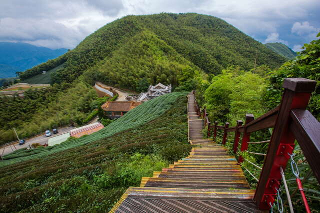 向下延伸的綠毯，與遠山相輝映