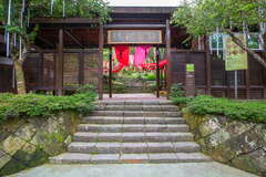 Makino Bamboo Forest