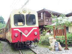 阿里山四季の茶旅 夏季森林茶会-山の避暑オリジナル夏の節気茶