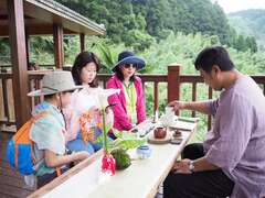 阿里山四季の茶旅 夏季森林茶会-山の避暑オリジナル夏の節気茶