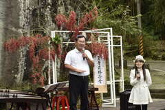 阿里山四季の茶旅 夏季森林茶会-山の避暑オリジナル夏の節気茶