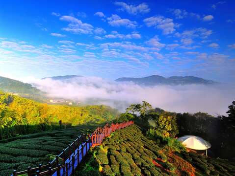 太興岩步道(張瑞宗攝_阿管處提供)