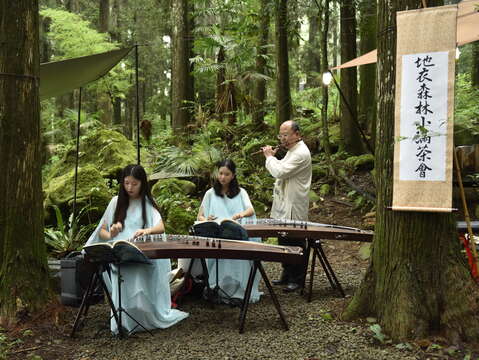 阿里山四季の茶旅 夏季森林茶会-山の避暑オリジナル夏の節気茶