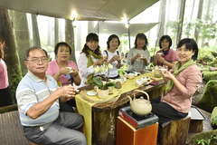 阿里山四季の茶旅 夏季森林茶会-山の避暑オリジナル夏の節気茶