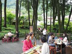 阿里山四季の茶旅 夏季森林茶会-山の避暑オリジナル夏の節気茶