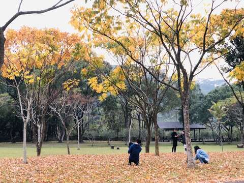 唯美畫面讓民眾架起腳架拍攝