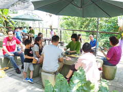 Alishan Four Seasons Tea Tour, Autumn Landscape Tea Festival, Autumn Cool Breeze, Thousand Birds Soar in the Sky