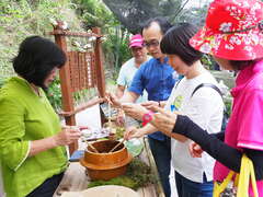 Alishan Four Seasons Tea Tour, Autumn Landscape Tea Festival, Autumn Cool Breeze, Thousand Birds Soar in the Sky