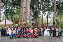 2019 Wedding Under the Sacred Tree – Vows Witnessed by the Ancient Sacred Tree