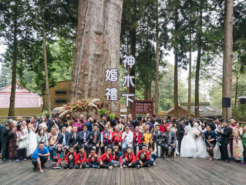2019年阿里山神木ウェディング 樹齢千年の神木が見守る愛