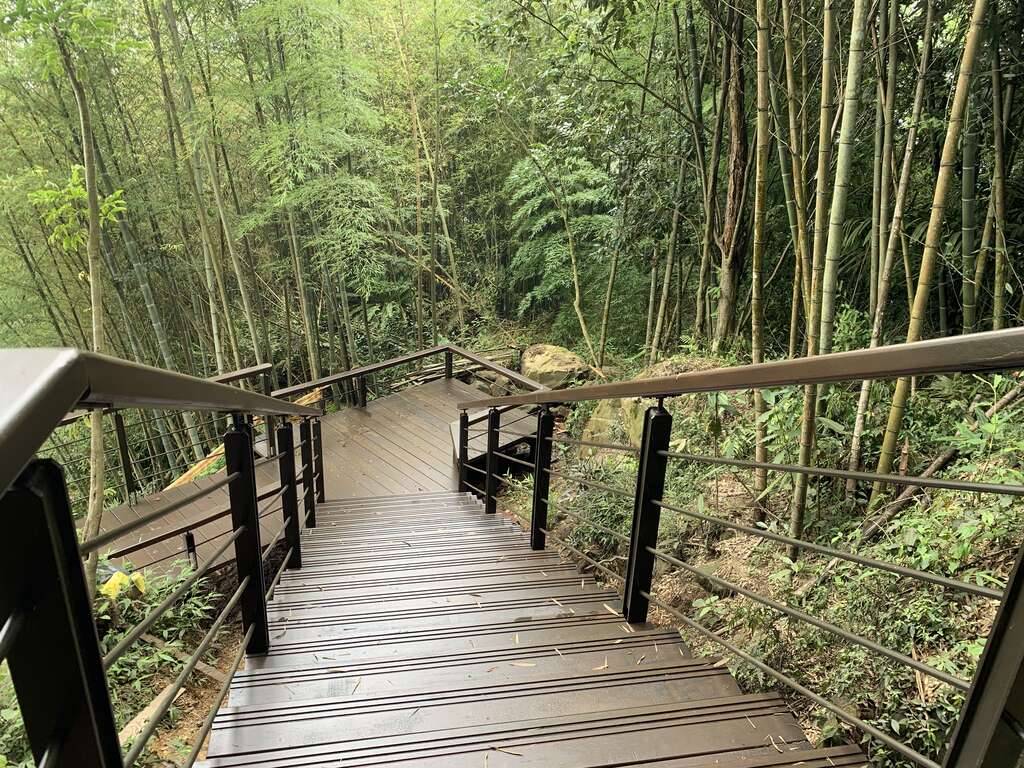 穿越竹林的步道