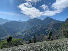 步道沿途景色