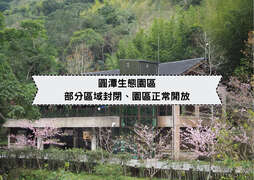 巃仔尾步道 預計暫時封閉至112年12月21日