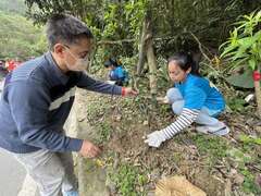 在地居民與遊客一同在觀音瀑布沿線栽下茶花苗