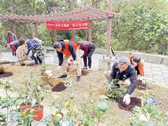 觀音瀑布社區產業合作社及社區共同參與活動