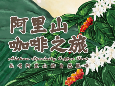 阿里山咖啡之旅