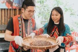 烘豆體驗