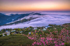 28-佳作09-李清波-櫻花雲海-竹崎鄉石棹