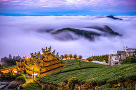2024 Alishan Photography Contest (2)