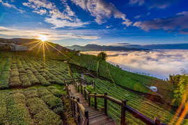 2024 Alishan Photography Contest (6)