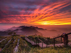 2024 Alishan Photography Contest (5)